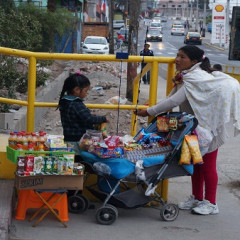 Concurso de fotografía escolar “Captura tu entorno”