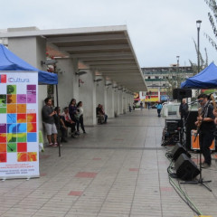 Atención creadores: Lanzan Fondos de Cultura 2016